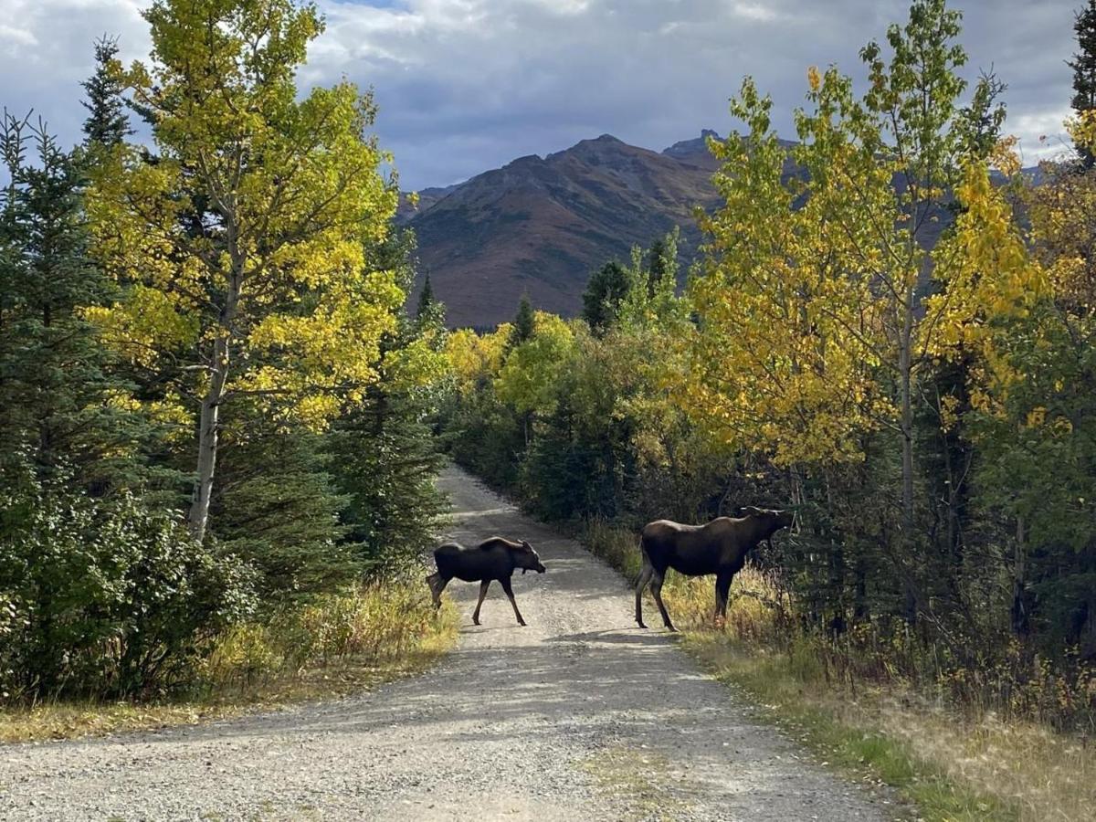 Denali Park View Family Log Cabin Ngoại thất bức ảnh