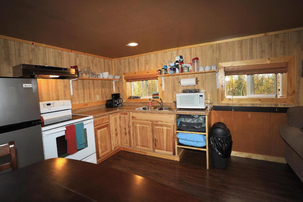 Denali Park View Family Log Cabin Ngoại thất bức ảnh
