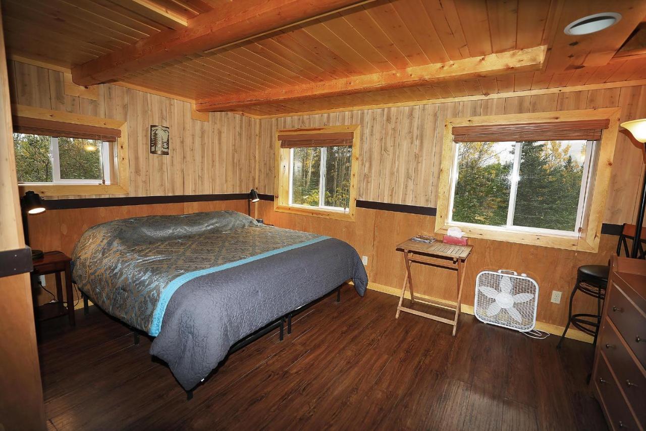 Denali Park View Family Log Cabin Ngoại thất bức ảnh