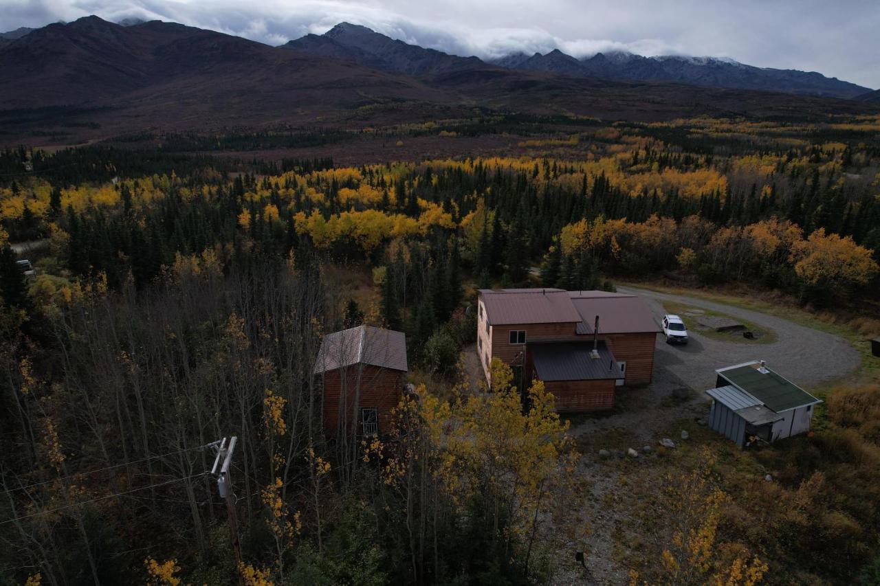 Denali Park View Family Log Cabin Ngoại thất bức ảnh